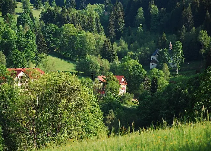 Rudy Stronie Śląskie