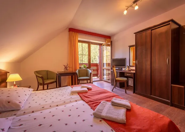 Pensjonat Rudy Stronie Śląskie